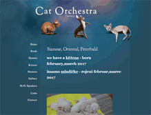 Tablet Screenshot of cat-orchestra.com